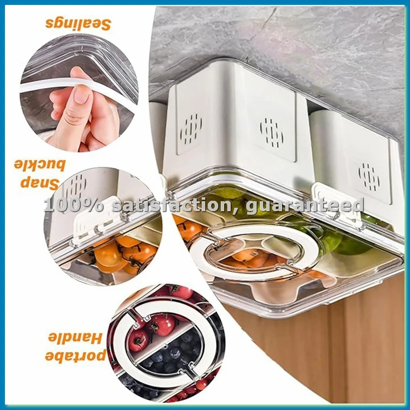 صينية فواكه للنزهات الكبيرة، ص - مراجعة Food Storage Refrigerator وسعره