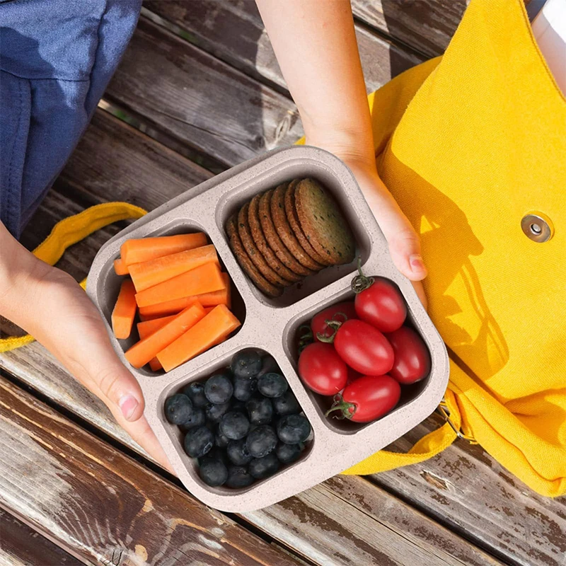 صندوق تخزين الطعام المحمول ، ا - مراجعة Food Storage Refrigerator وسعره