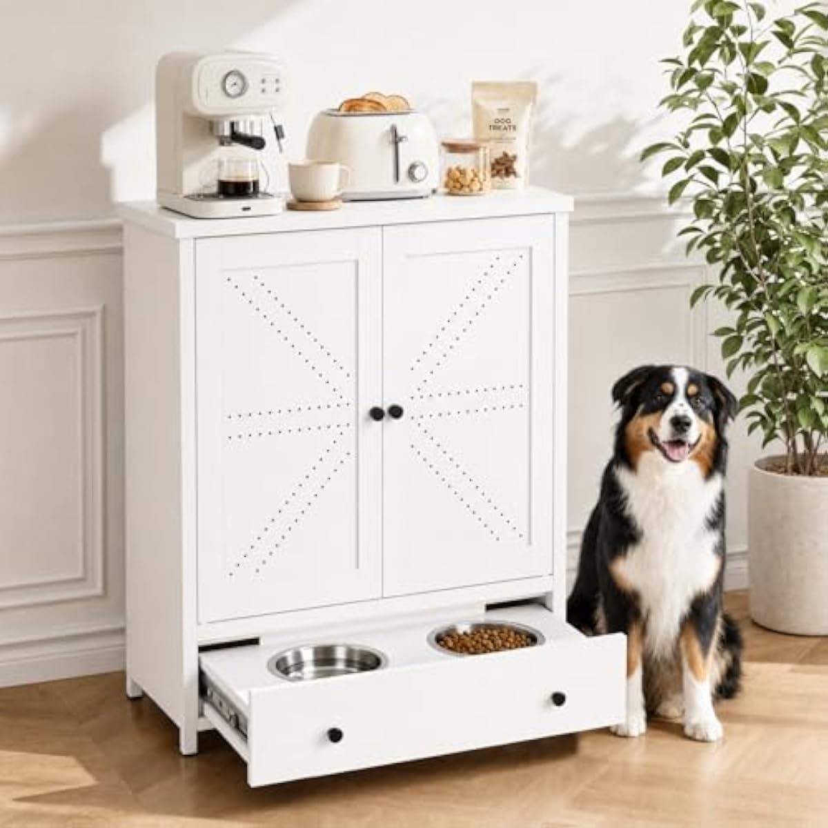 محطة تغذية معدنية للحيوانات ال - مراجعة Food Storage Cabinet وسعره